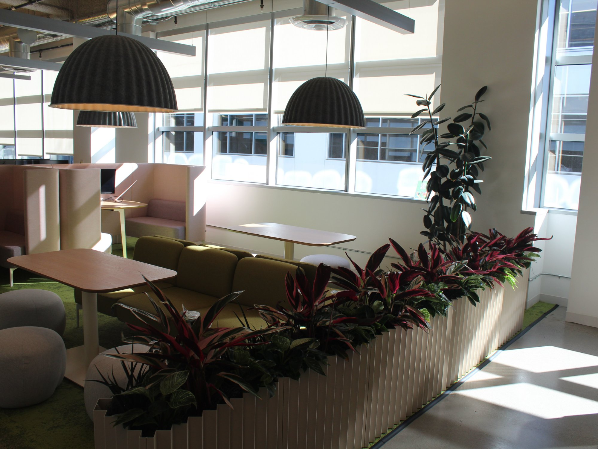 Four Reasons to have Plants in the Office