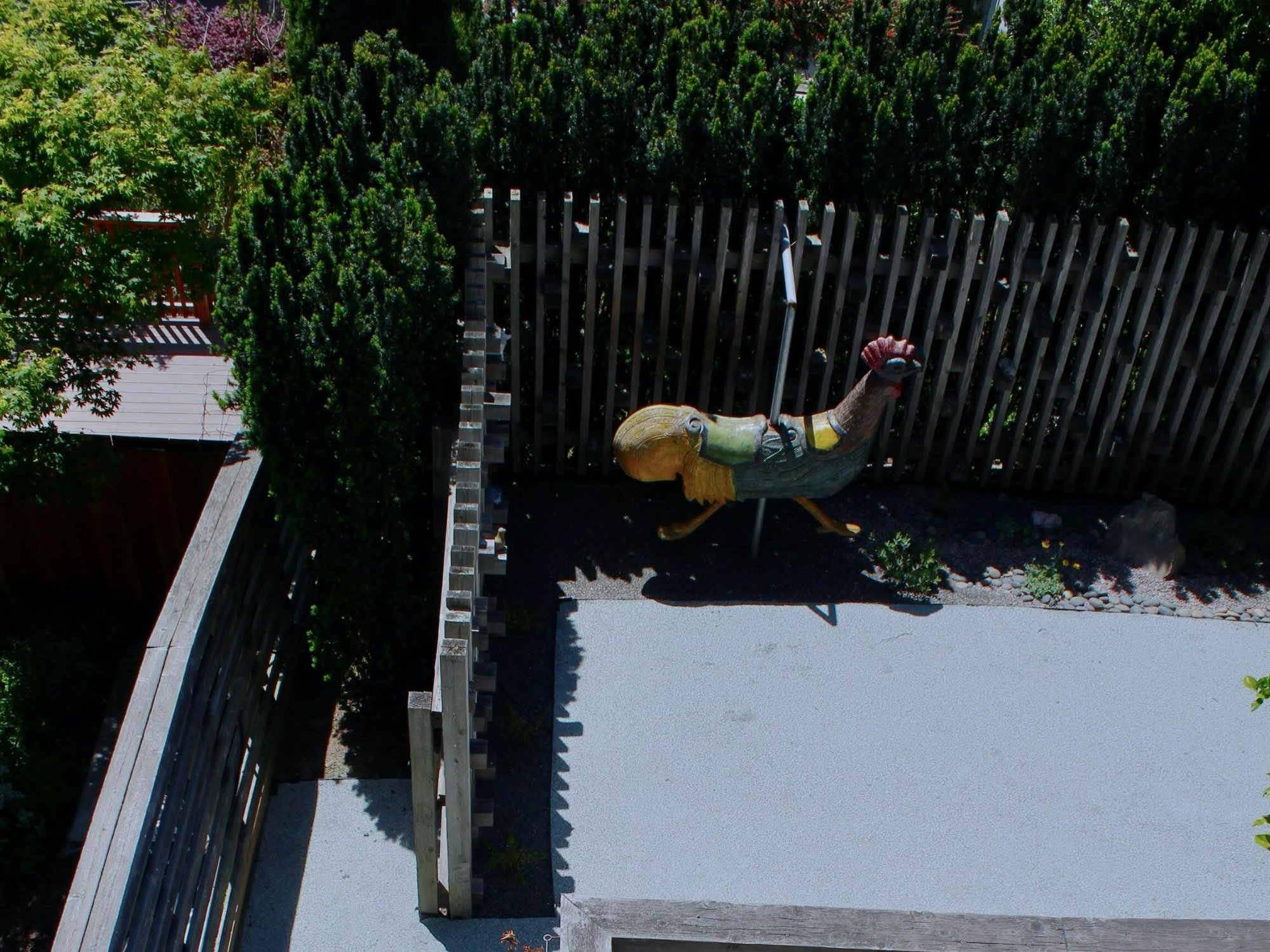 CA Native Patio