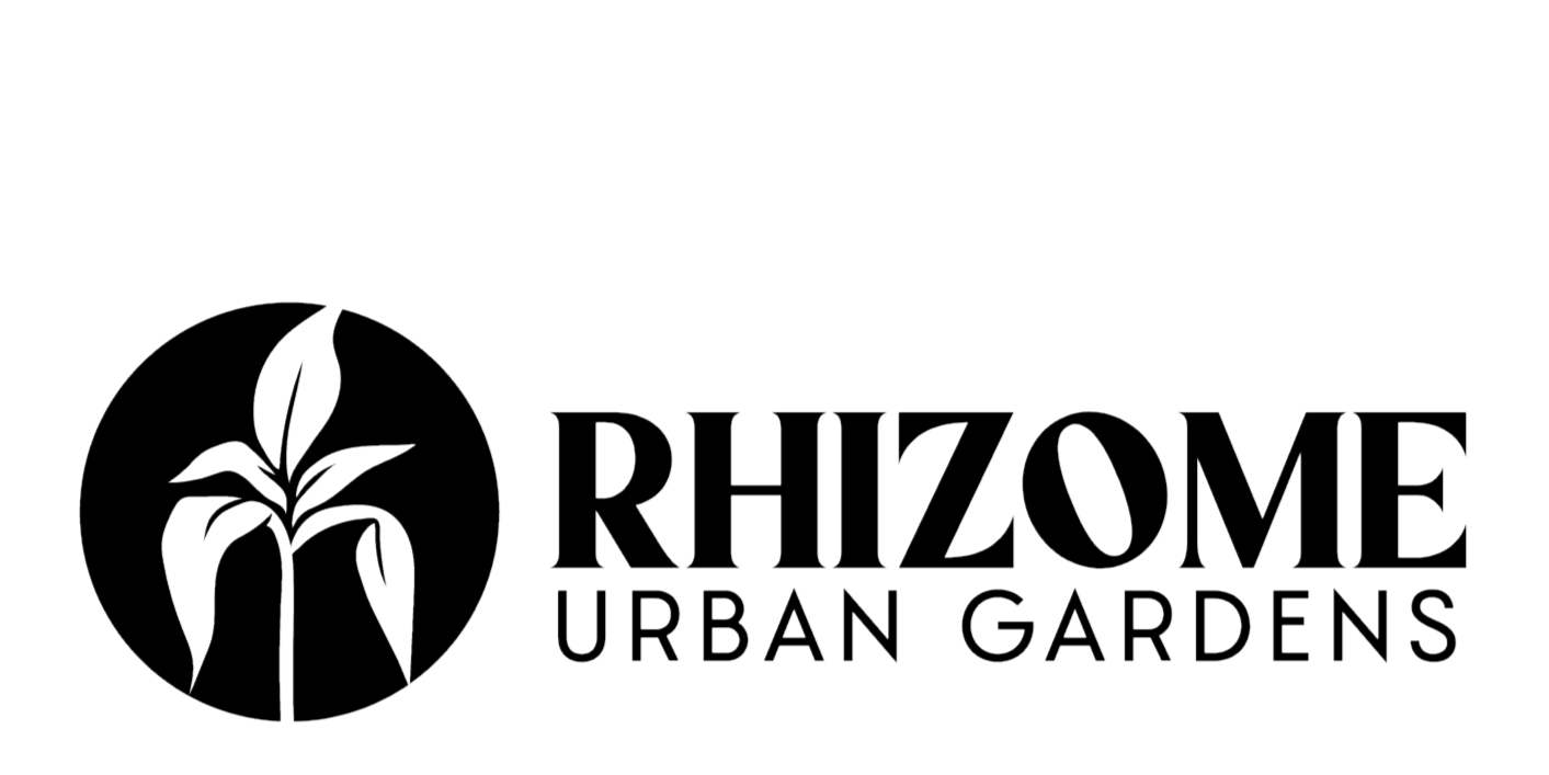 Rhizome