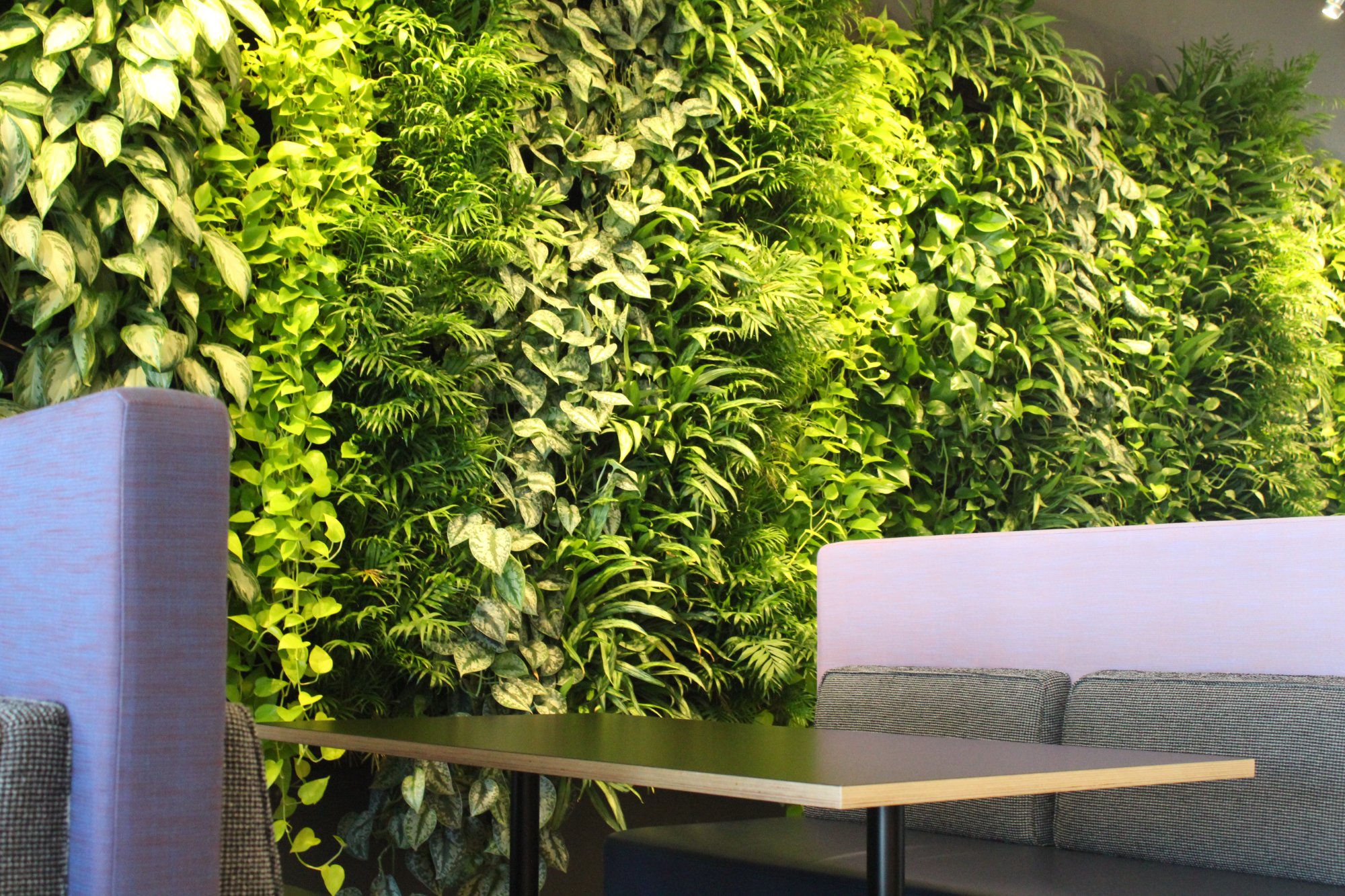 Planted Green Wall