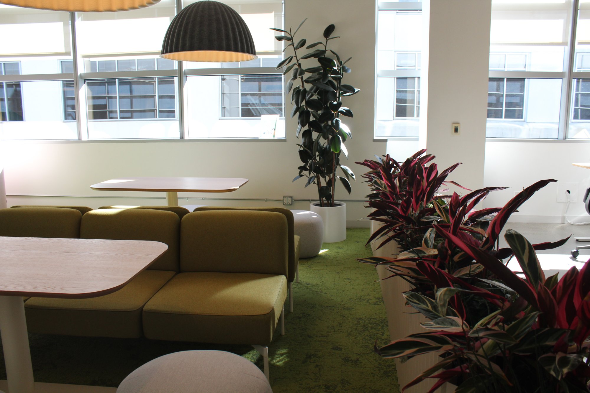 Office Installation