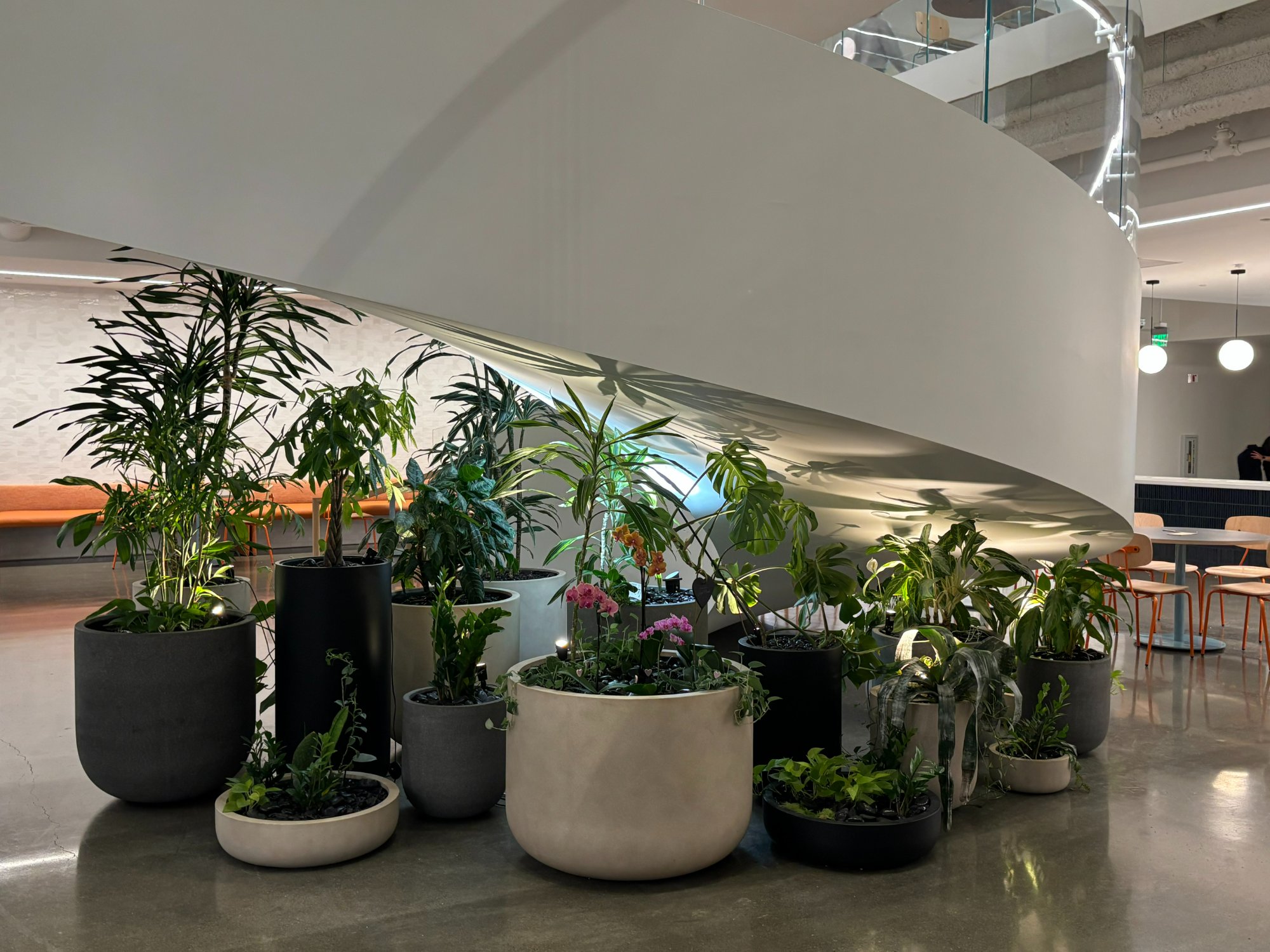 Cafeteria Stairway