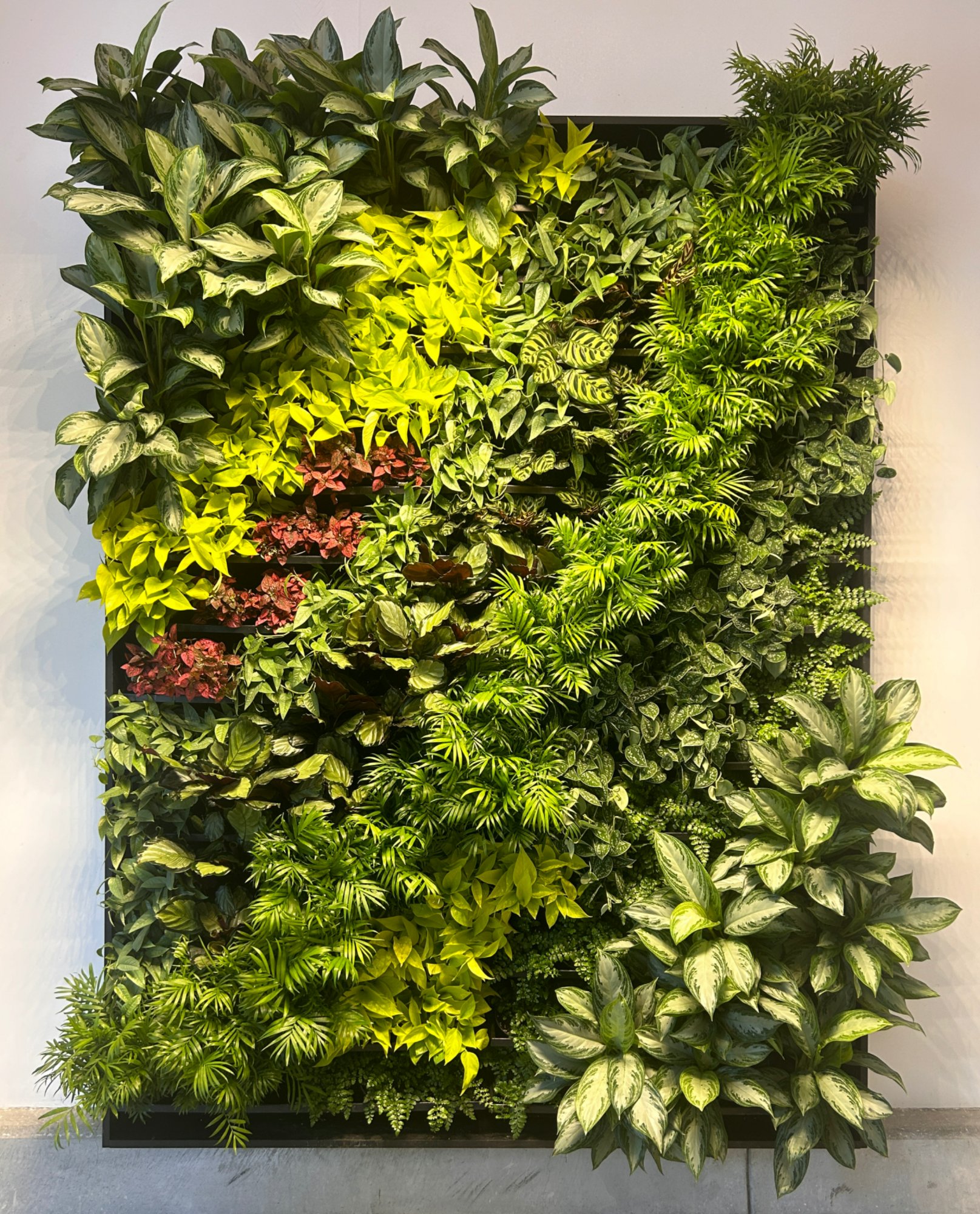 Green Wall