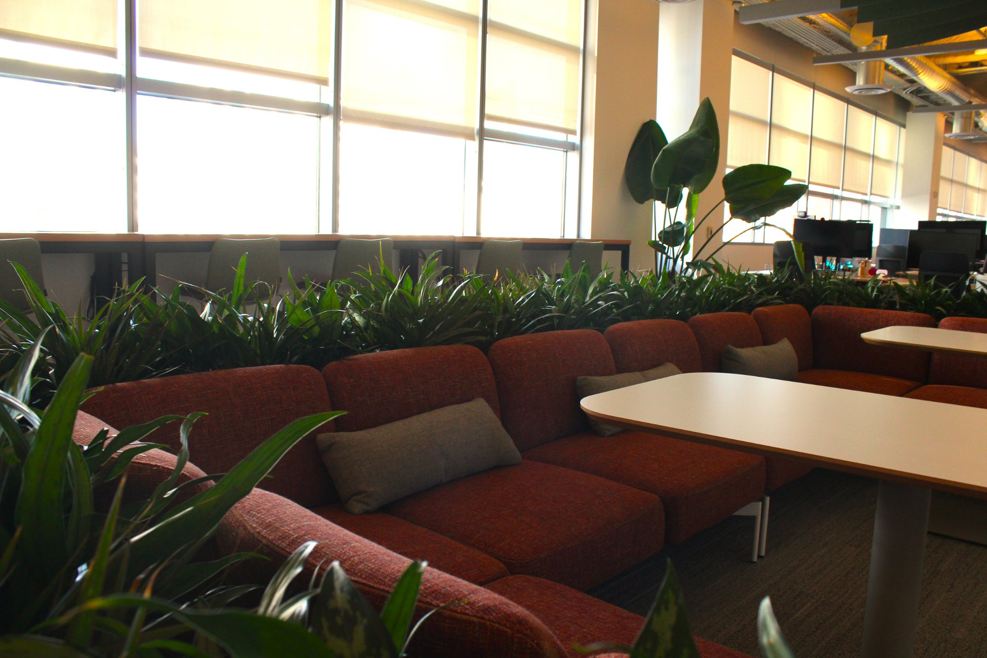 Office Parklet