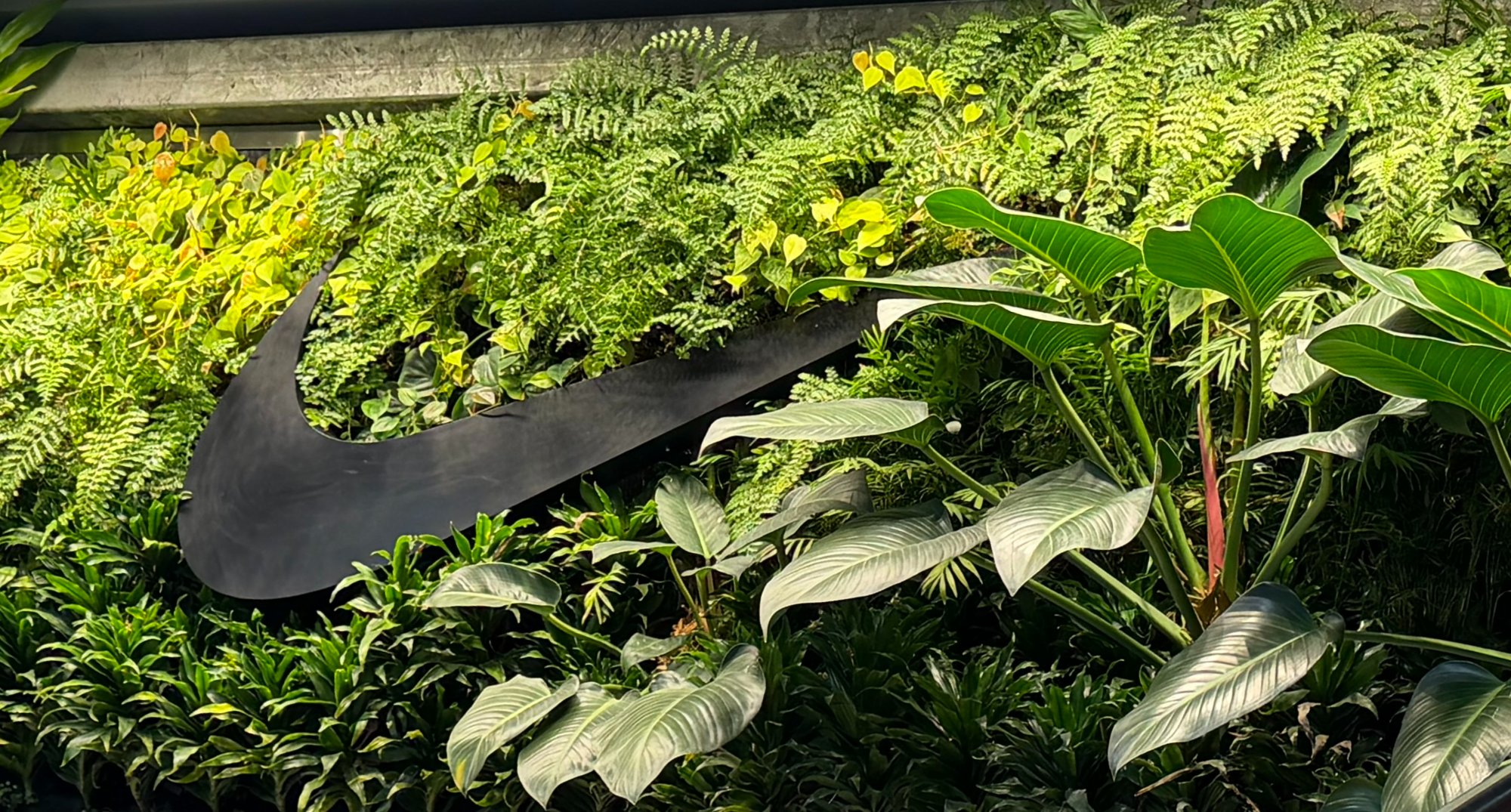 Living Wall