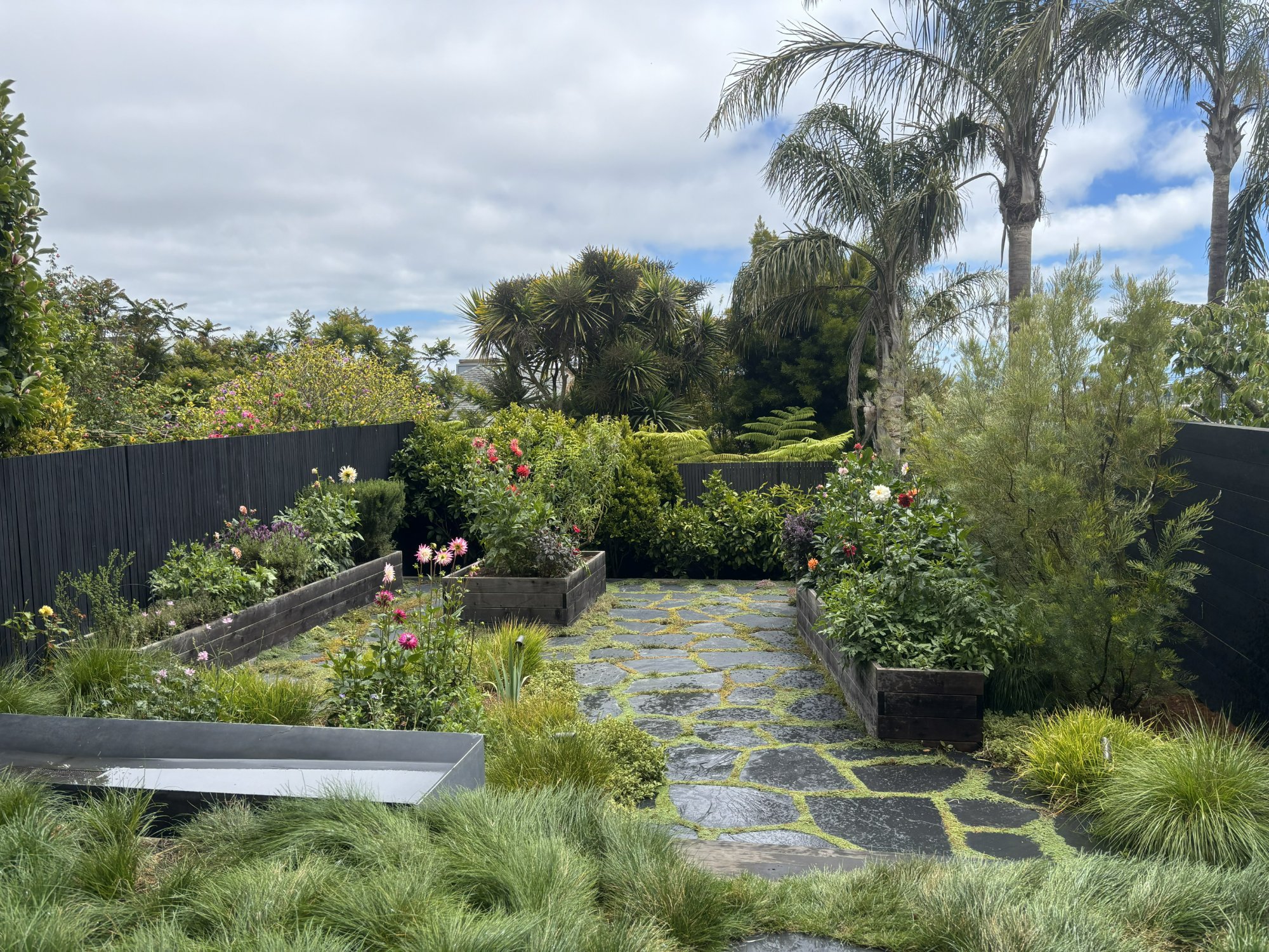 Modern Dahlia Garden