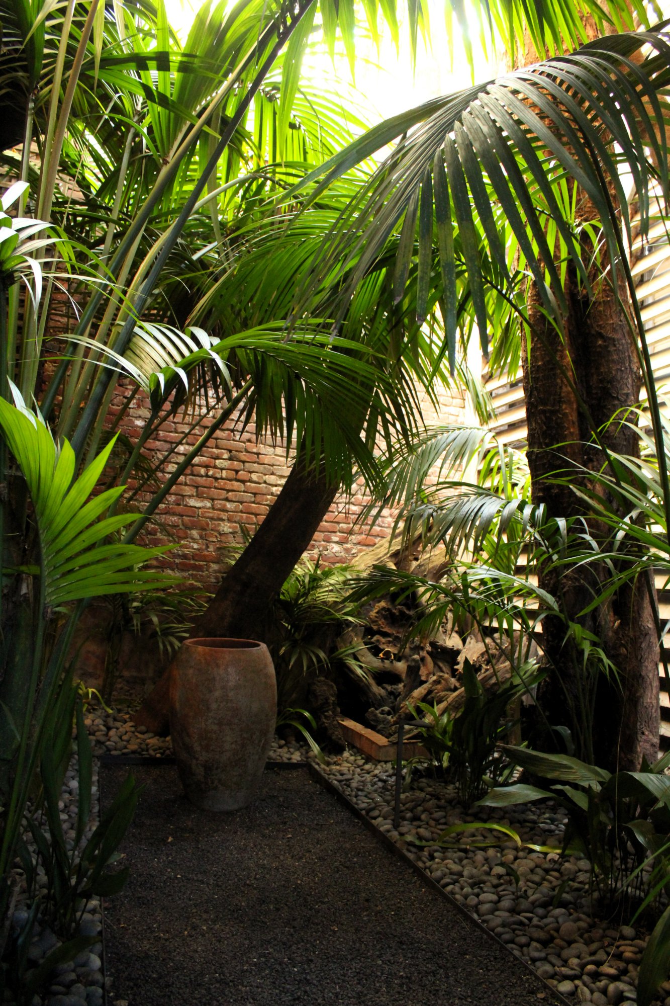 Zen Office Garden