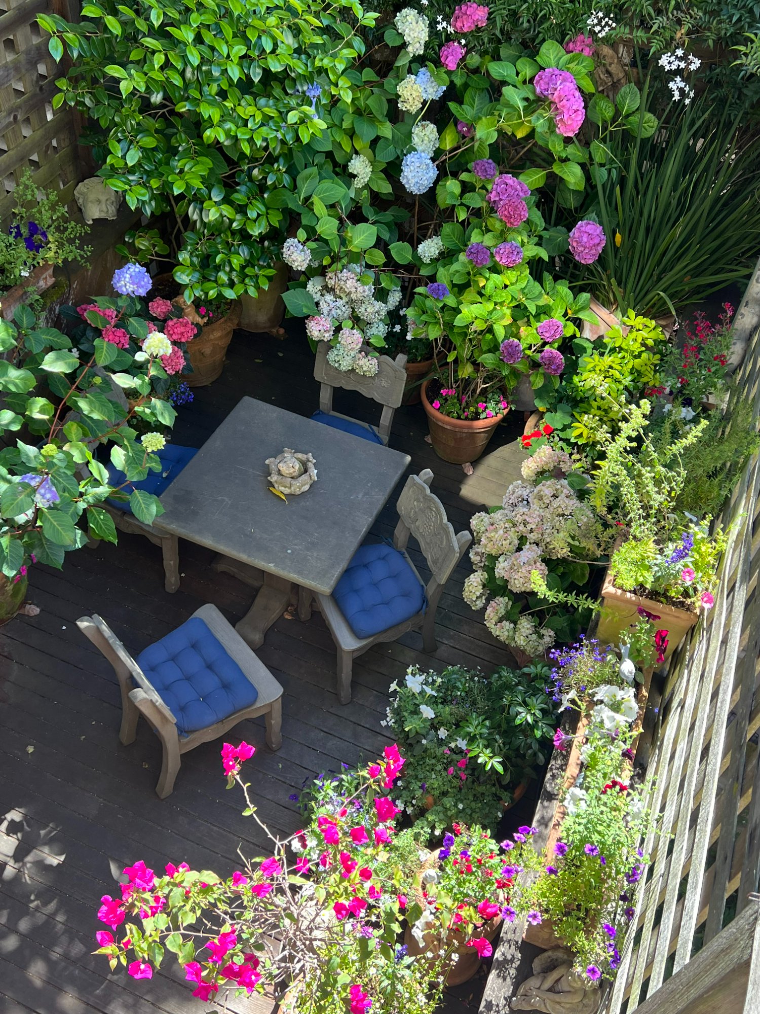 Hydrangea Patio
