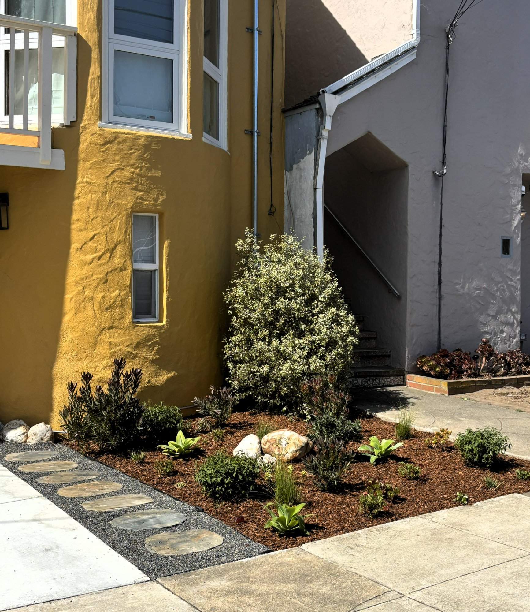 Drought-Resistant Front Yard and Pavers