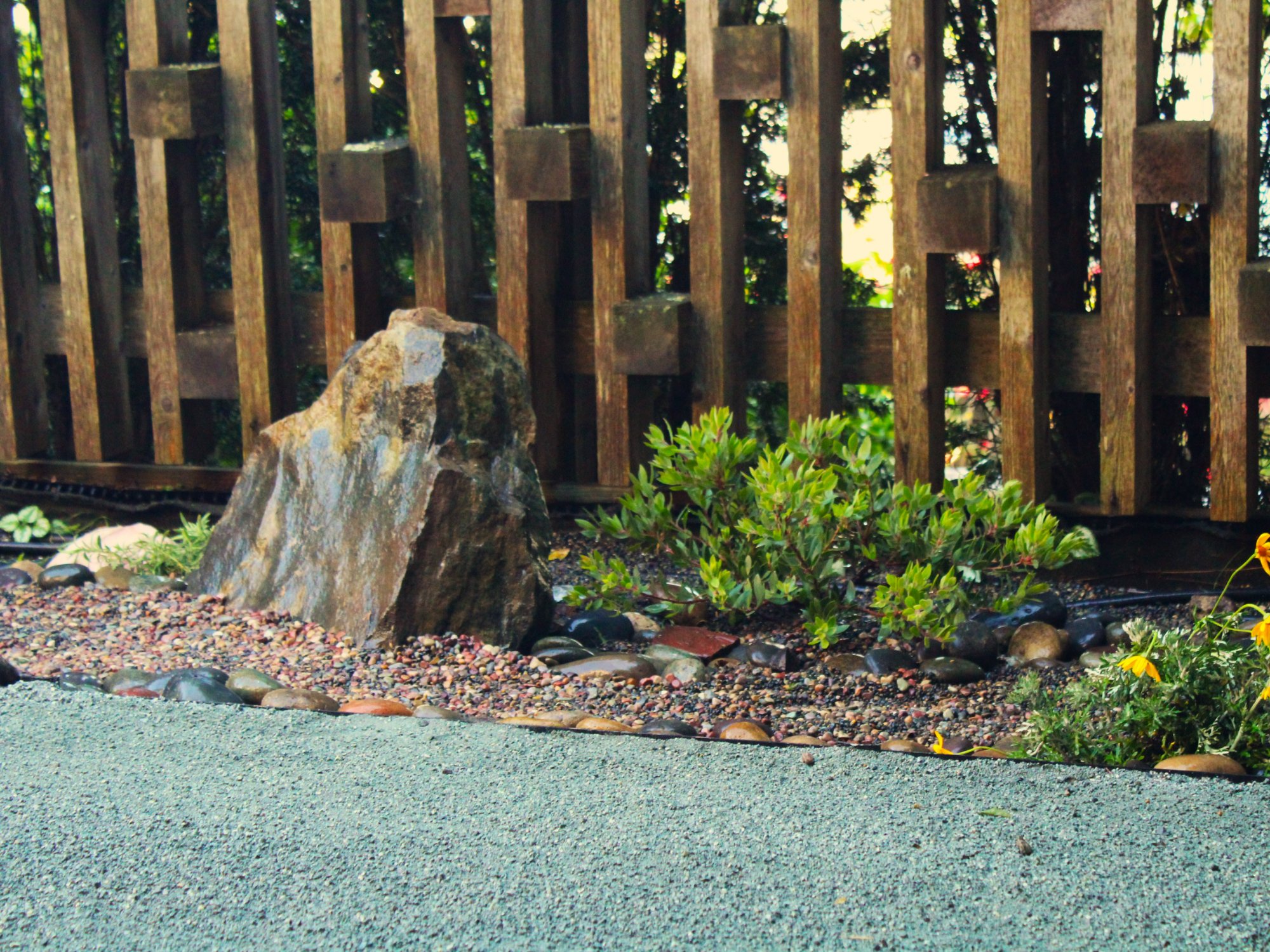 Path Fines Patio and CA Natives