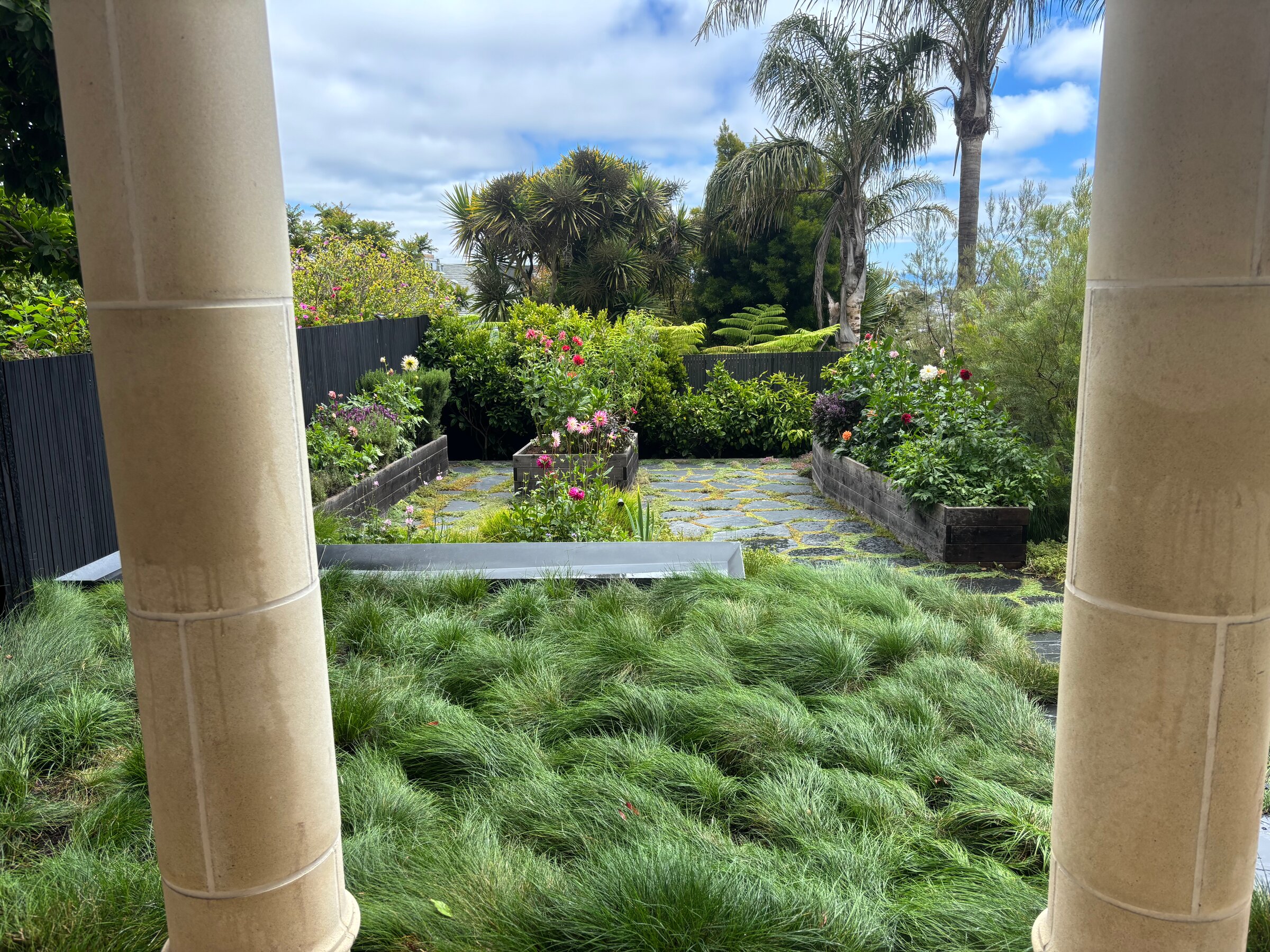 SF Backyard Transformation - Image 2