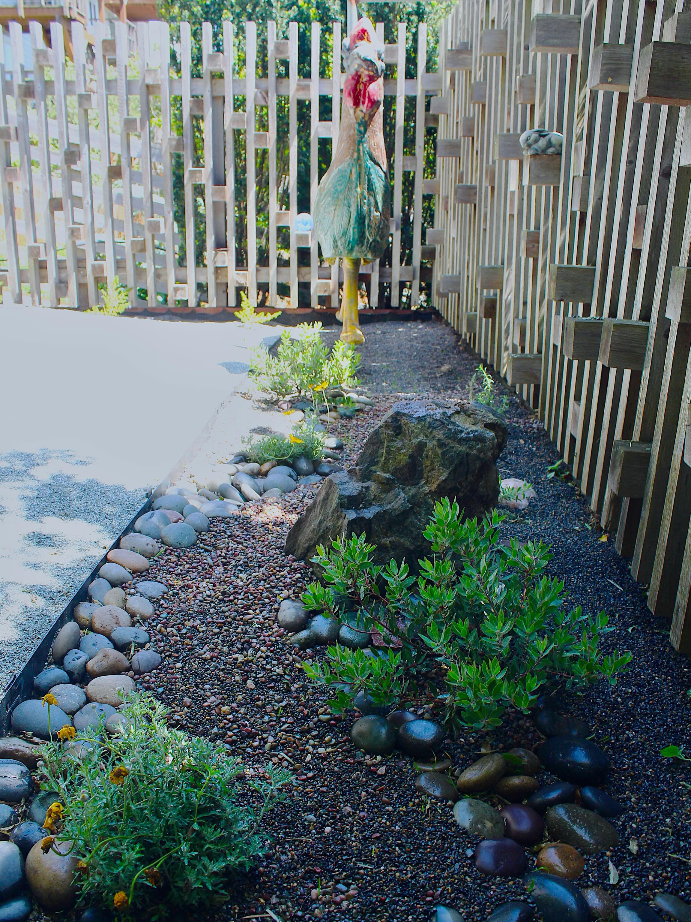 Our new friend 🐓 asked us for a backyard remodel … here’s what we created in ju