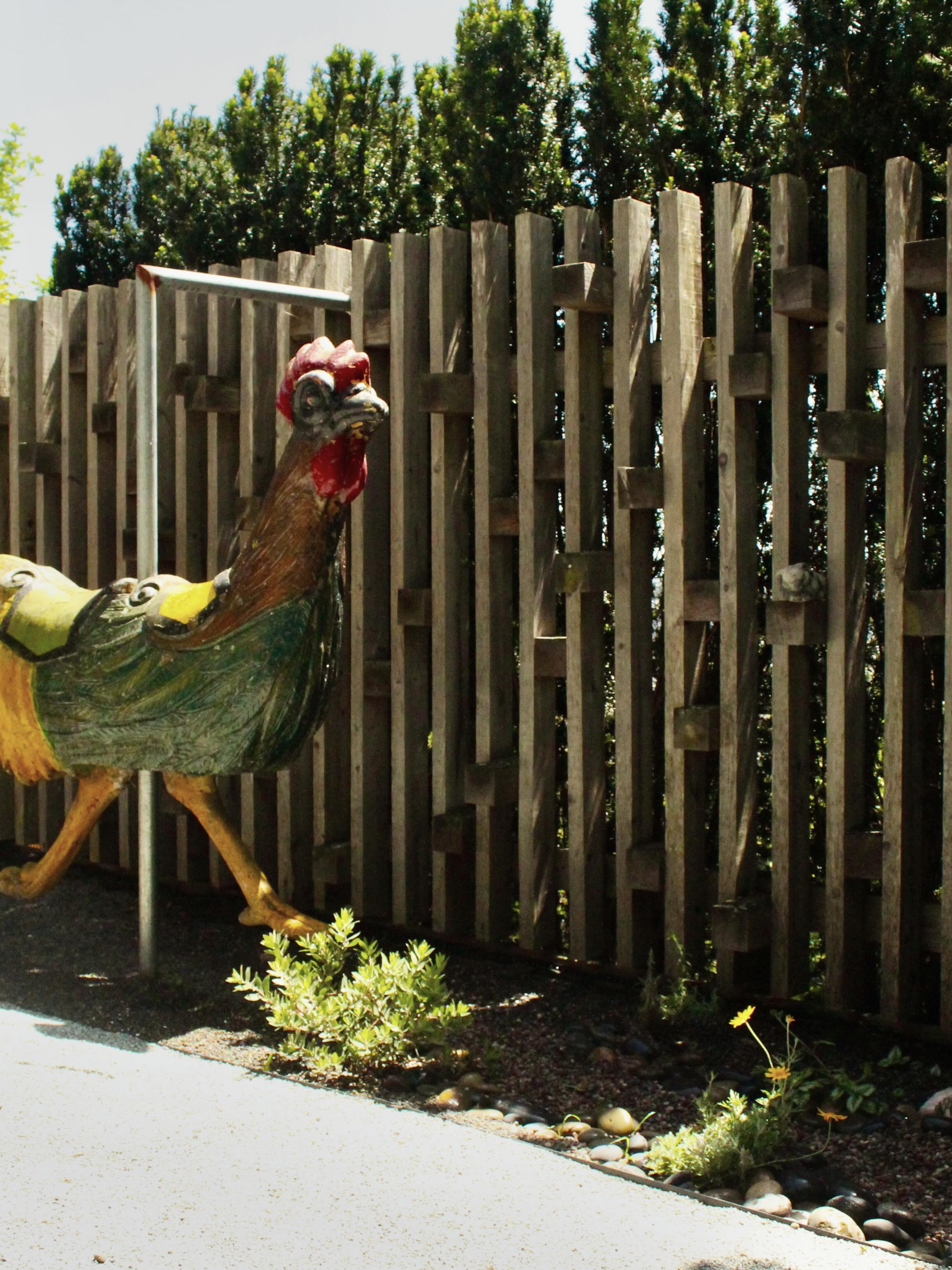 Our new friend 🐓 asked us for a backyard remodel … here’s what we created in ju