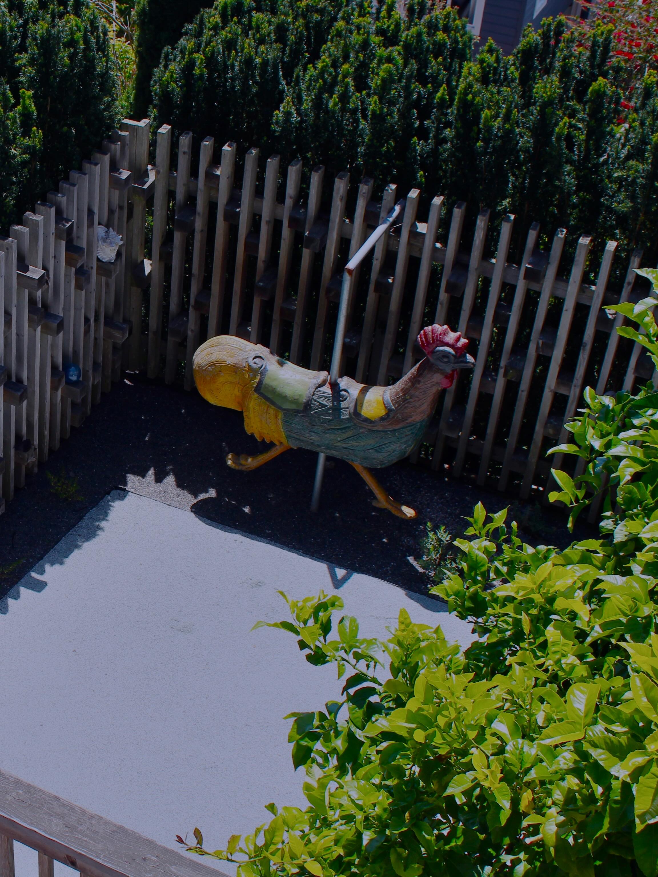 Our new friend 🐓 asked us for a backyard remodel … here’s what we created in ju