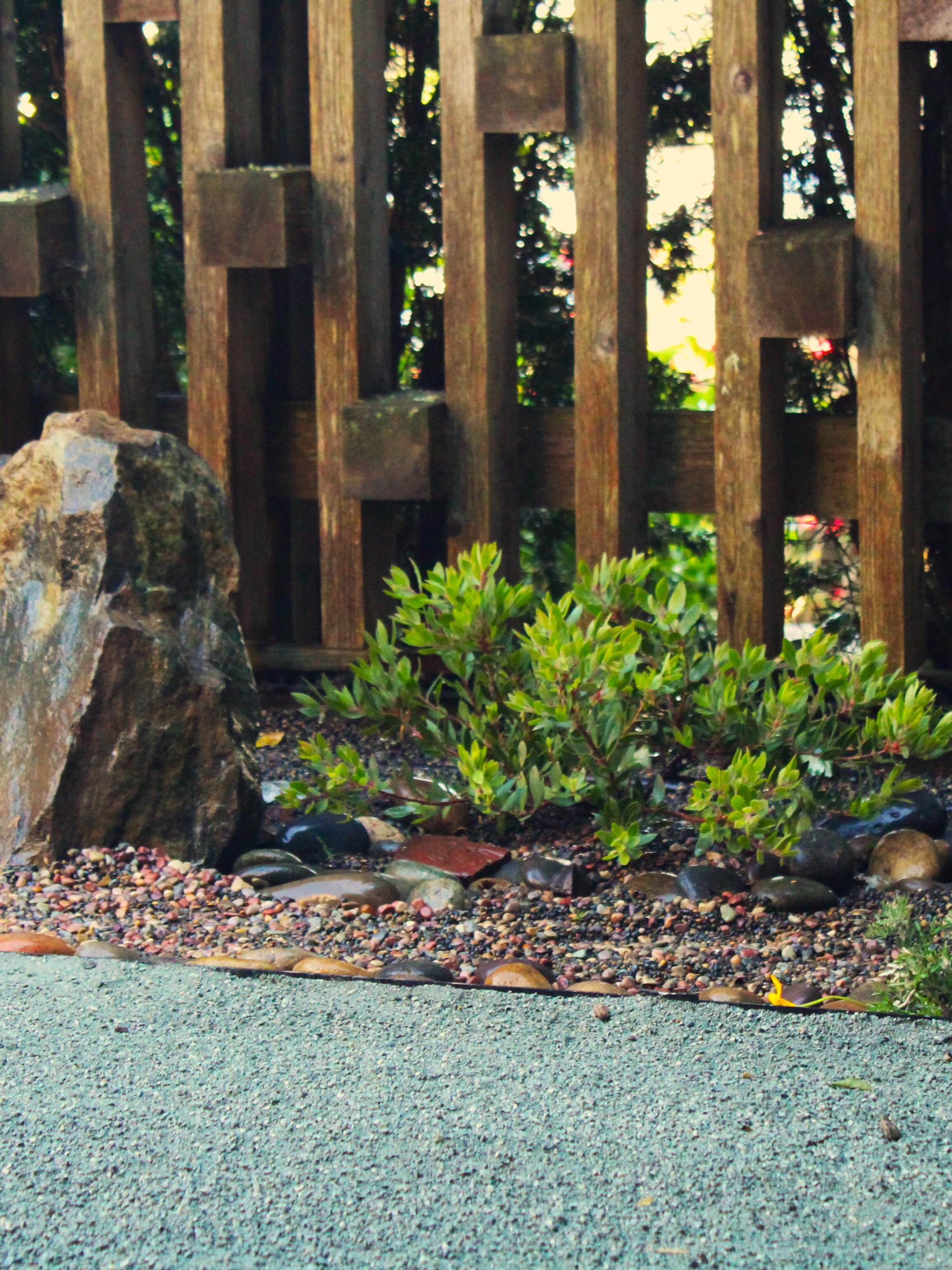 Our new friend 🐓 asked us for a backyard remodel … here’s what we created in ju