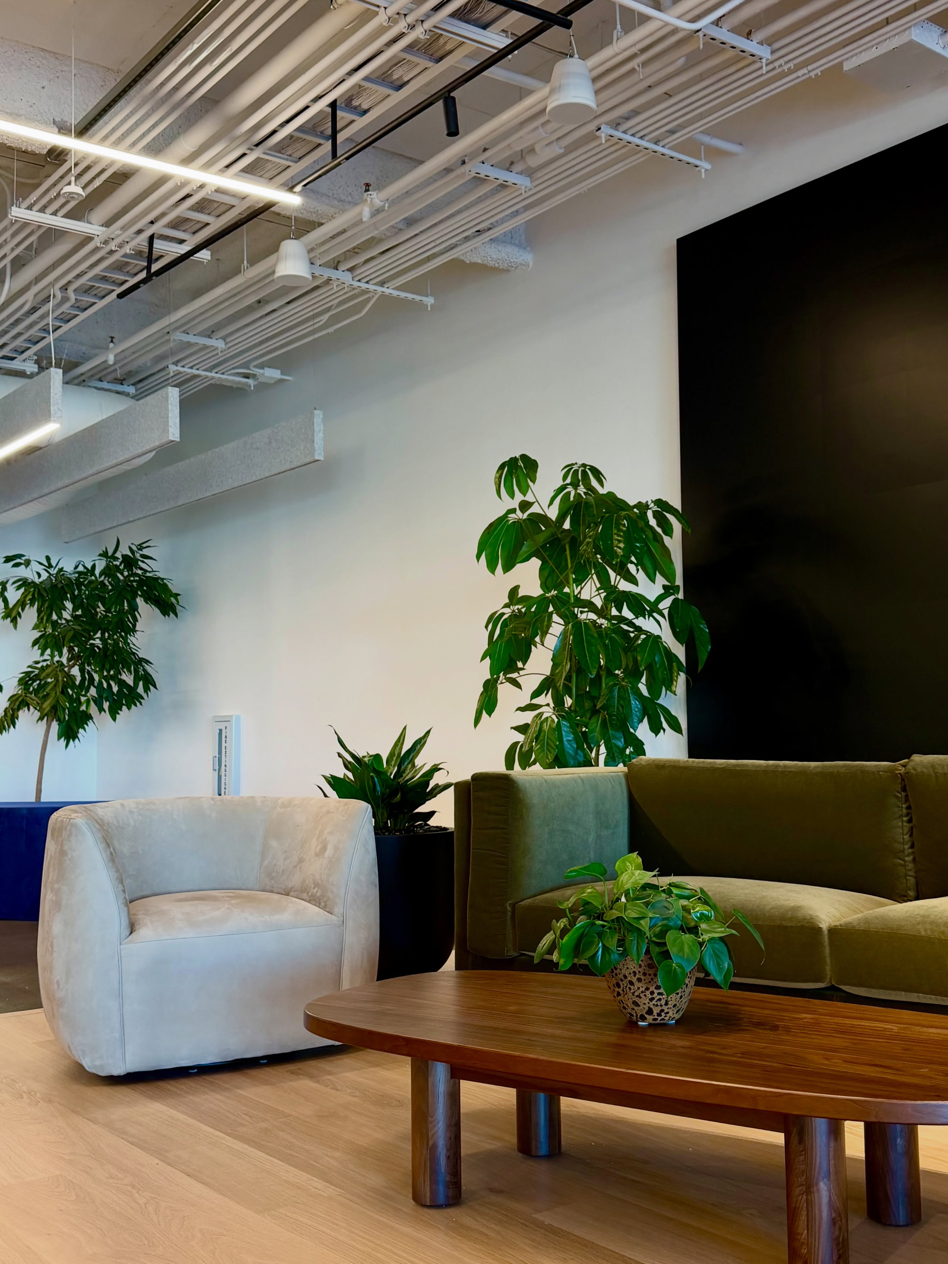Indoor Elegance