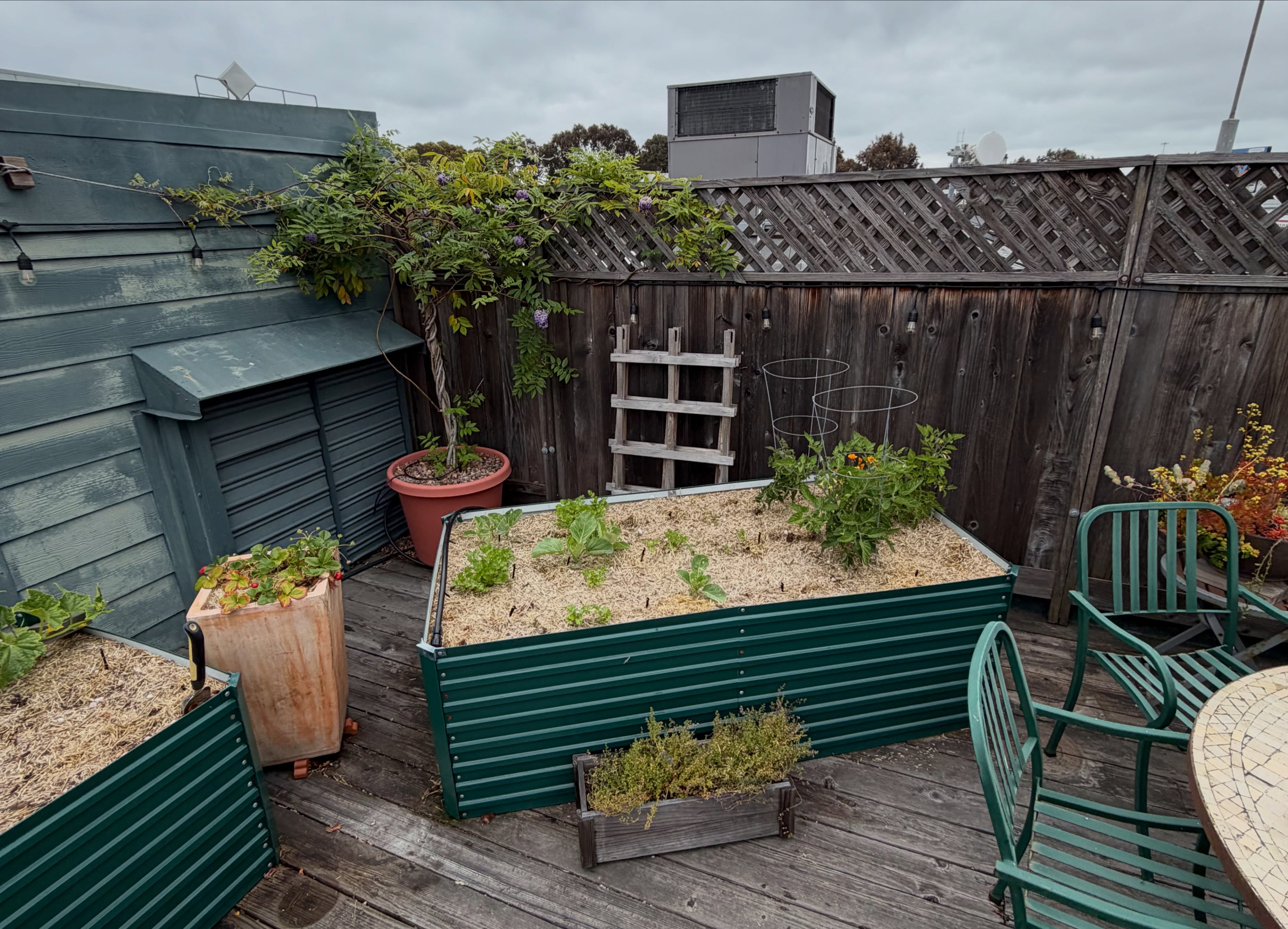 The right mulch can make a world of difference!