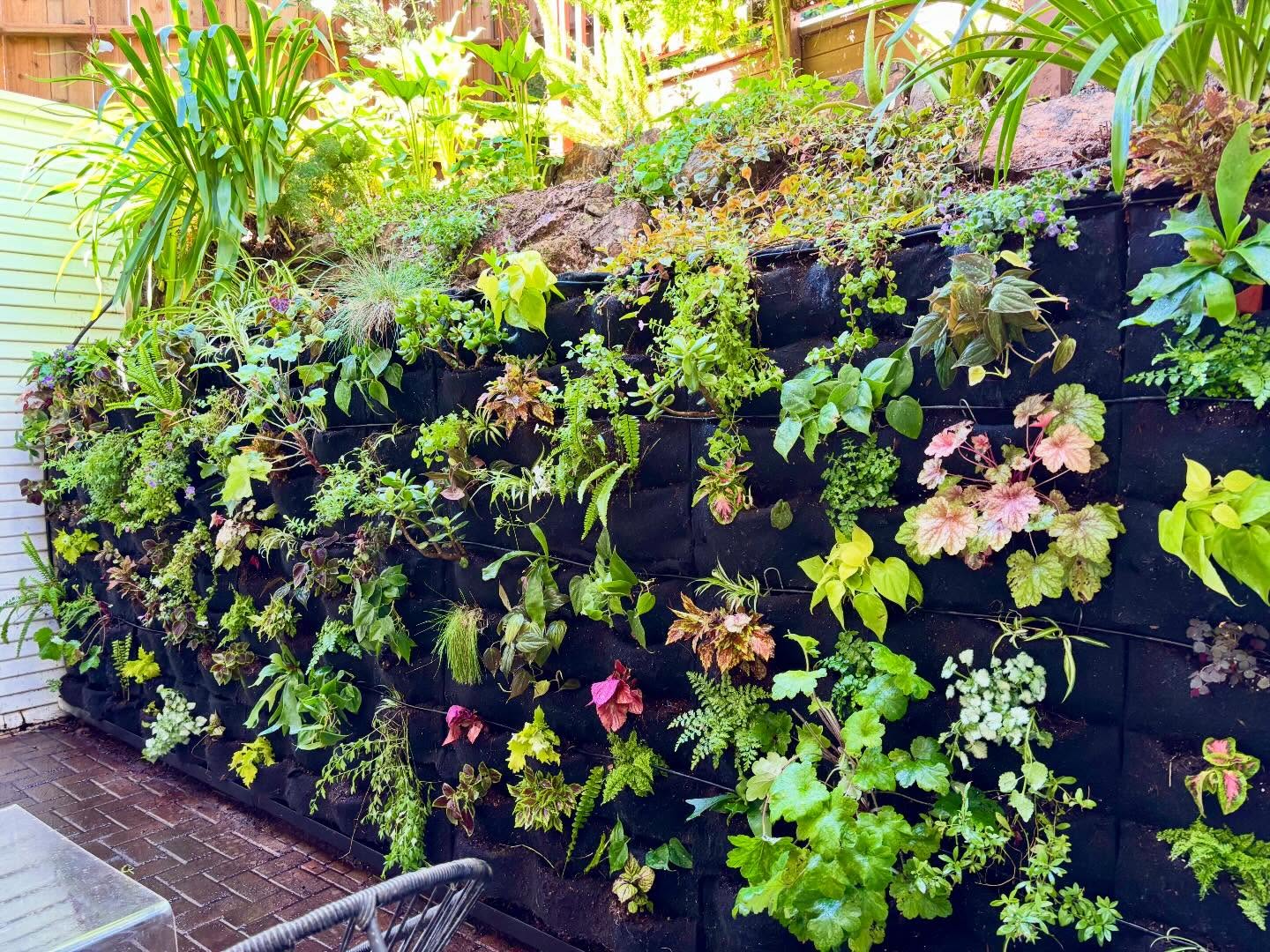 Living Wall Installation