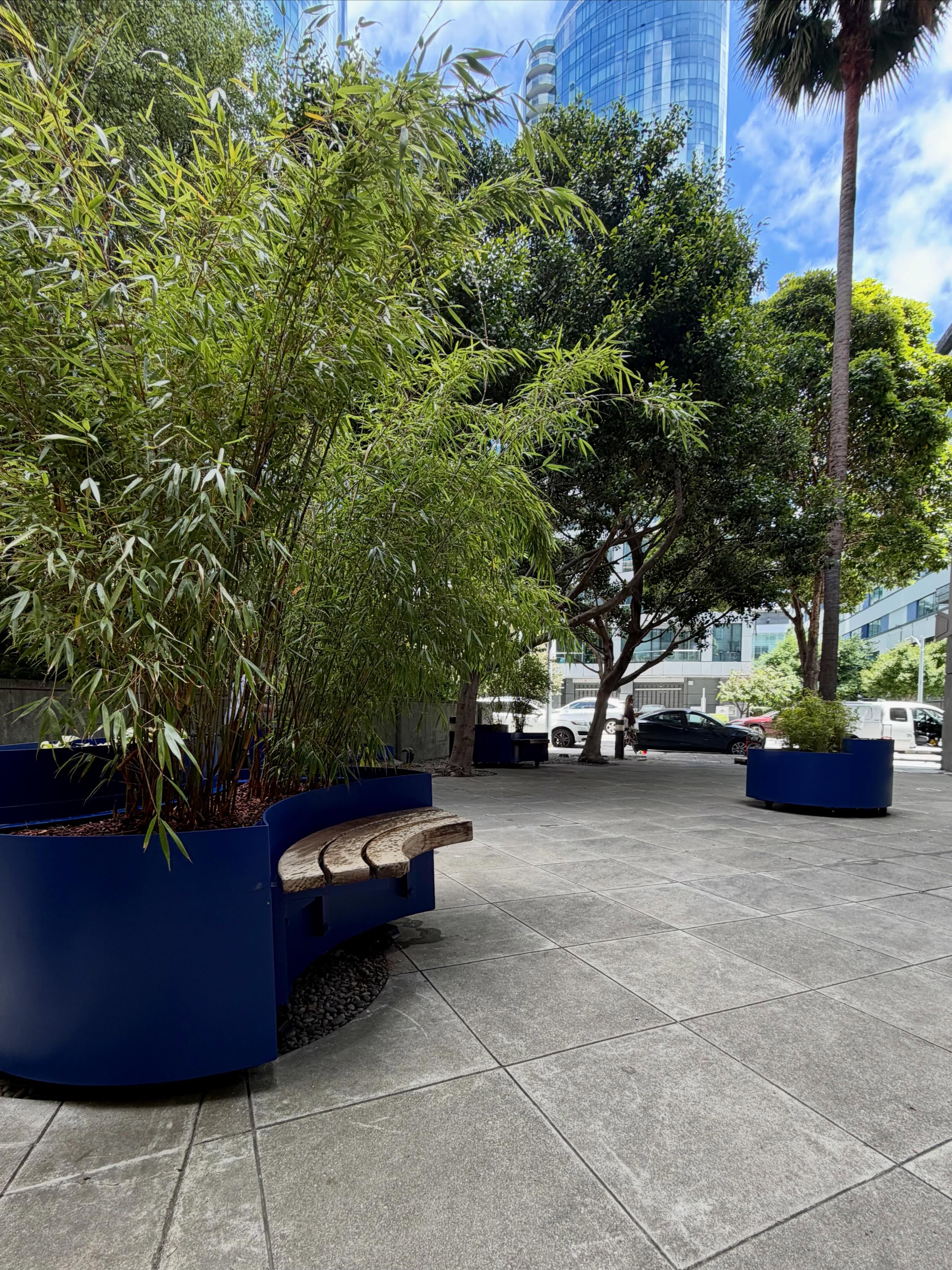 COURTYARD REVIVAL!!!