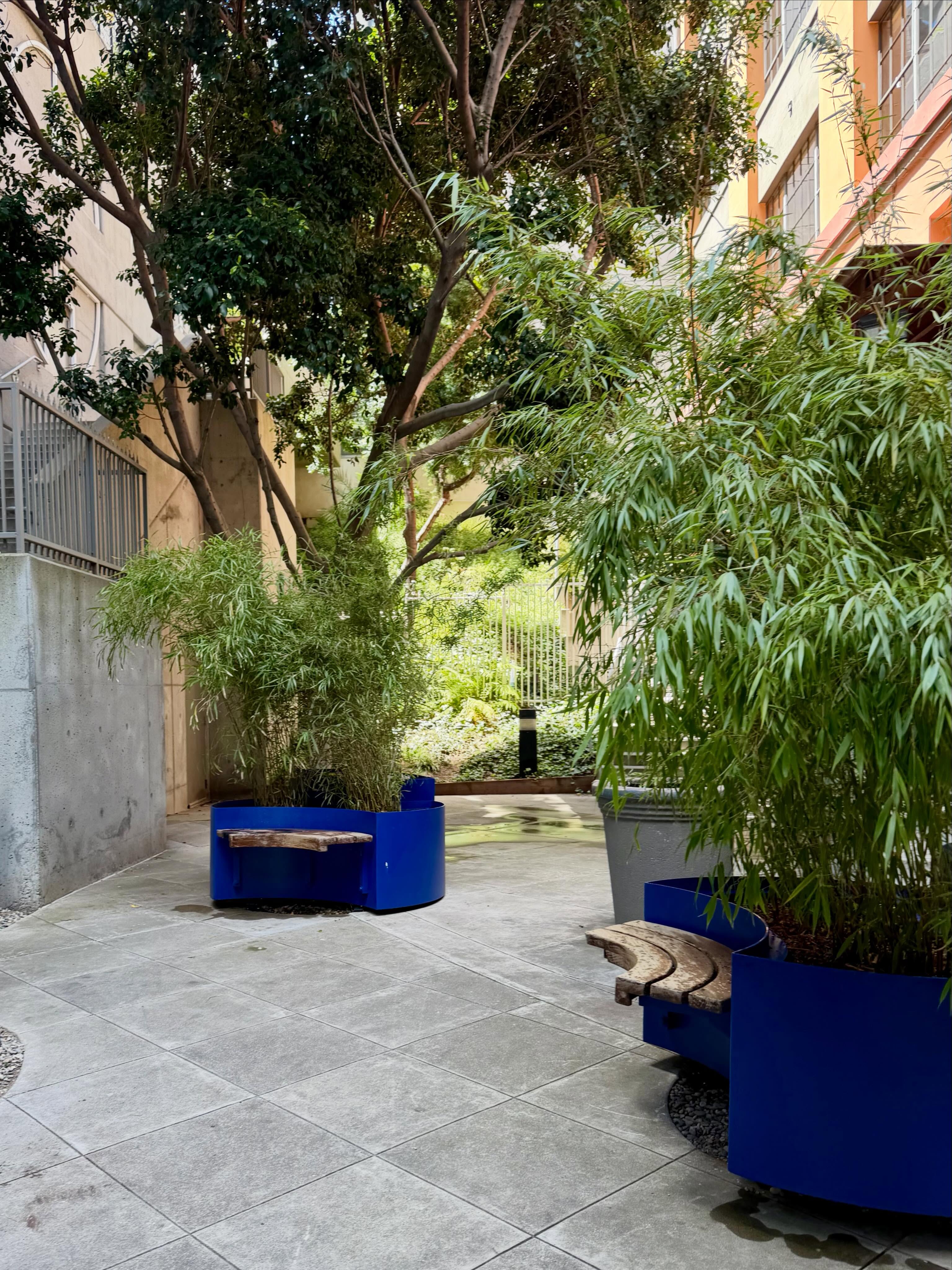COURTYARD REVIVAL!!!