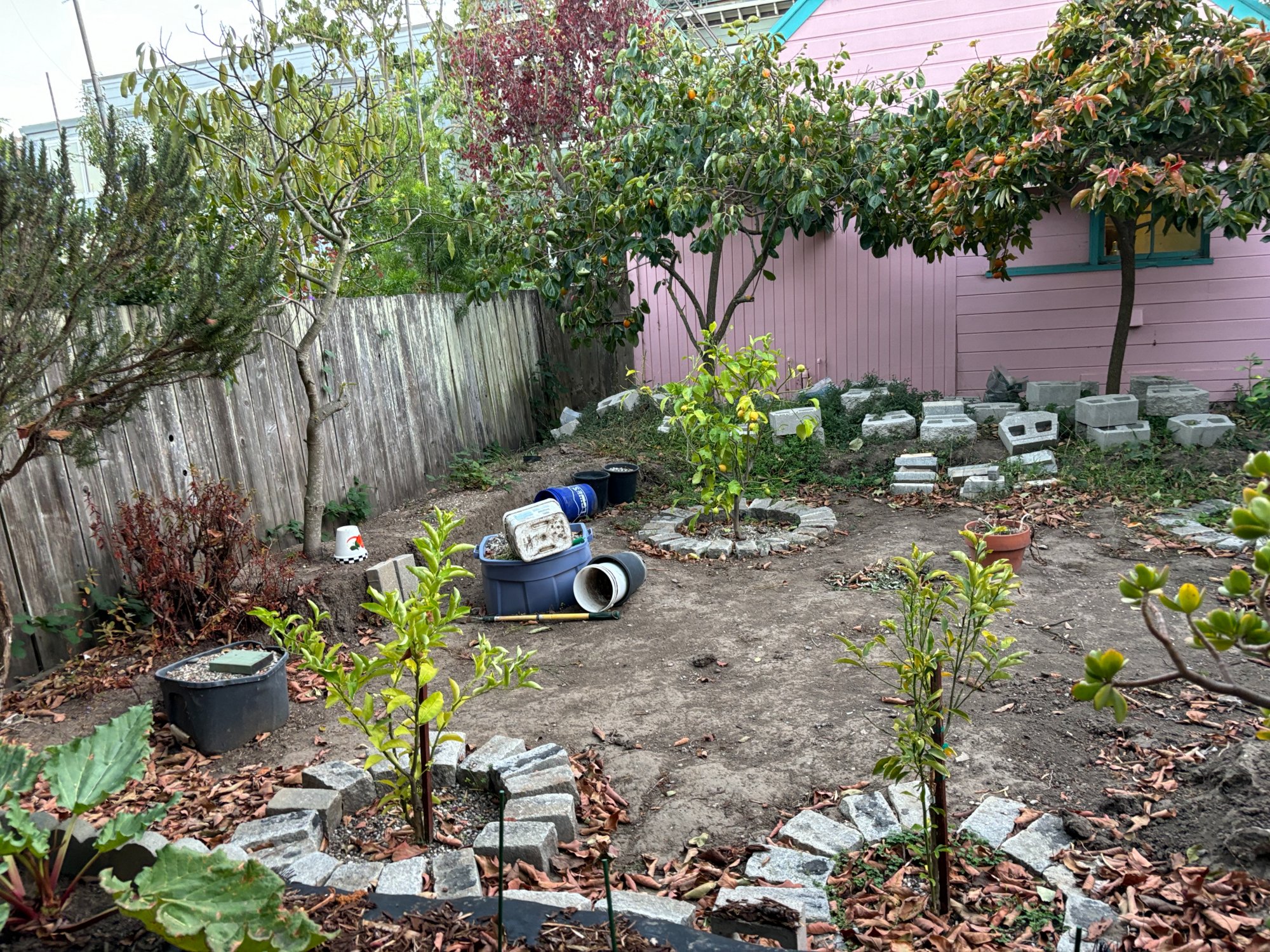 SF Backyard Transformation - Before