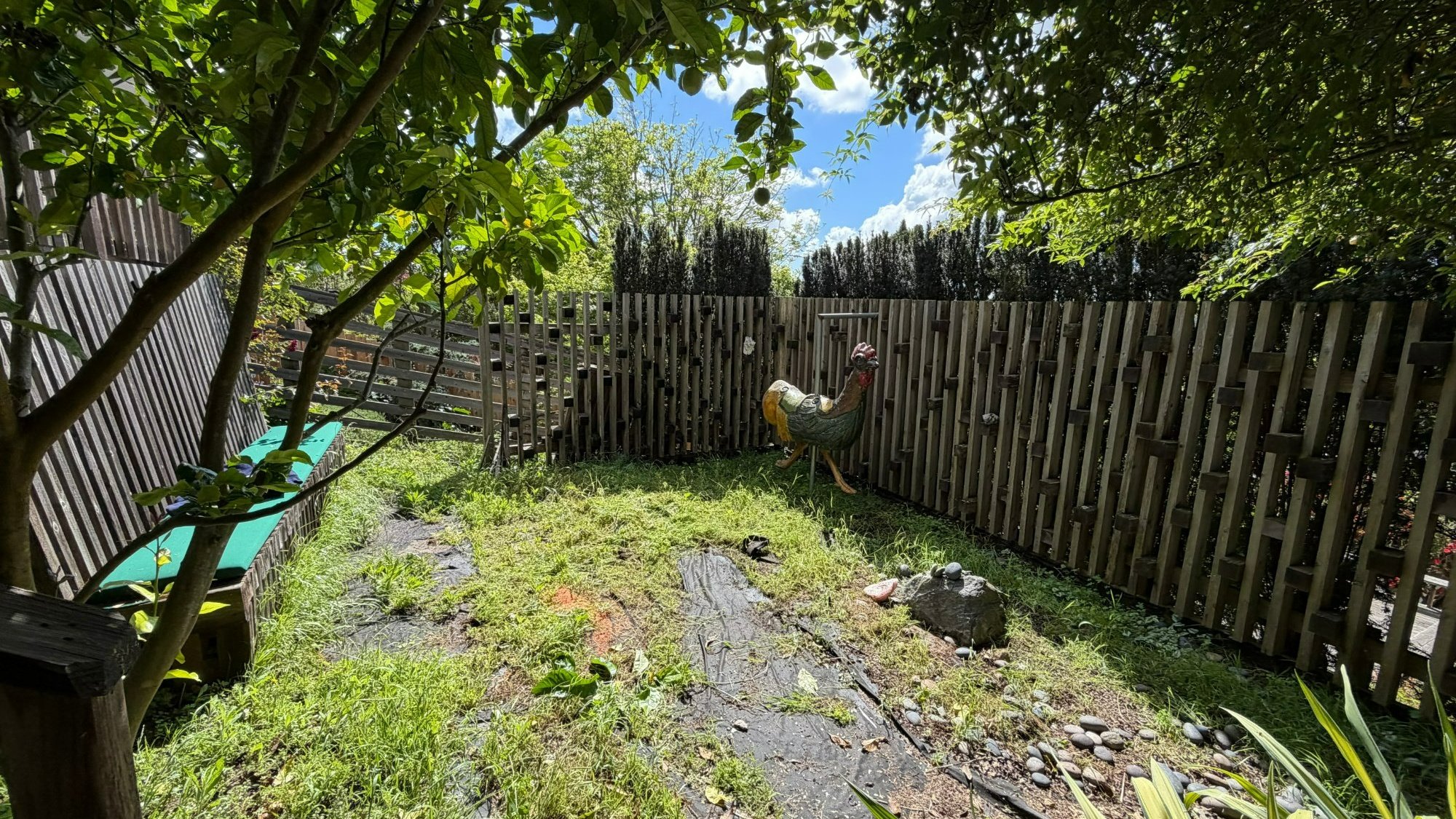 CA Native Patio - Before