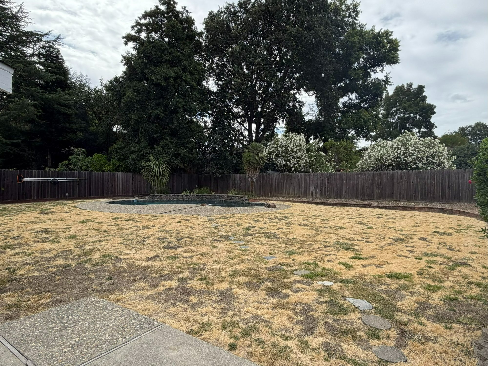 Flagstone Pathway and Lawn Renewal - Before